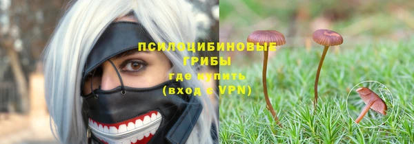 дживик Арсеньев