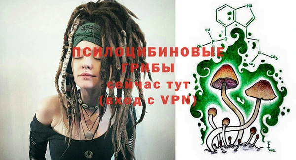 прущая мука Армянск