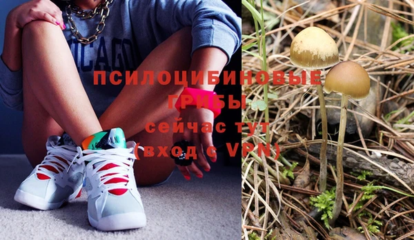 прущая мука Армянск